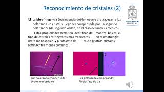 REUMATOLOGÍA 10 Artropatía por cristales [upl. by Uamak]