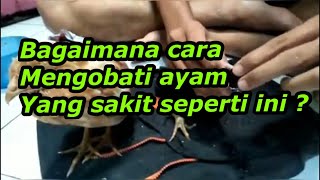 Bagaimana cara mengobati ayam yang sakit seperti ini  catat resep obat untuk ayam yang sakit [upl. by Anaicul]