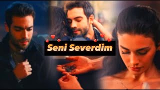 Feraye ve Yaman Seni severdim Lyrics safir feryam [upl. by Johppah]