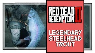 Red Dead Redemption 2 Legendary Steelhead Trout Fish Location SPOILERS [upl. by Ttenrag]