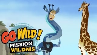 Go Wild Mission Wildnis  Das Rätsel der langen Giraffenhälse Trailer  Folge 15 [upl. by Augy]