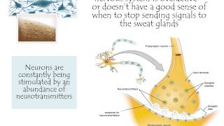 What causes focal hyperhidrosis [upl. by Carleton]