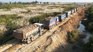 Road Building In The Background Are Stunning Dump Truck Huge Moving Dirt Power Dozer Pushing [upl. by Laurette264]