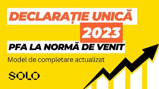 Model completare Declarație Unică 2023 pentru PFA la Normă de Venit [upl. by Enimsay]