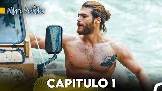 Pájaro soñador  Capitulo 1 Audio Español  Erkenci Kuş [upl. by Yaja]