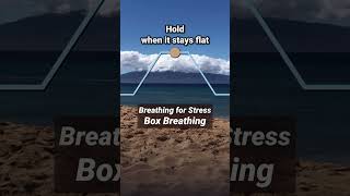 Breathing for Stress Box Breathing [upl. by Nailimixam810]