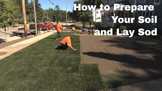 How to Prepare Your Soil and Lay Sod [upl. by Jarv572]