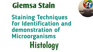 Giemsa Stain ll Staining Techniques for Identification and demonstrate of Microorganisms llHistology [upl. by Swayder826]