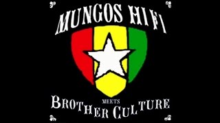 Mungos Hi Fi  Warning ft Brother Culture [upl. by Ecnatsnoc]