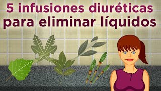 5 infusiones diuréticas para eliminar líquidos [upl. by Mullins]