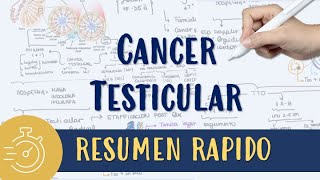 CANCER TESTICULAR FACIL RESUMEN 10 MIN seminoma noseminoma [upl. by Kiele]