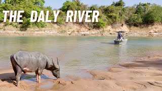 Is this the WILDEST River in the Territory Crocodiles Buffalo amp Barramundi in the Daly River🤙 [upl. by Issirk]