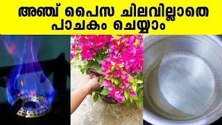 അഞ്ച് പൈസ ചിലവില്ലാതെ പാചകം ചെയ്യാം  BIO GAS  Iype Vallikadan  Bio Gas Plant  Mavelikara [upl. by Diann]