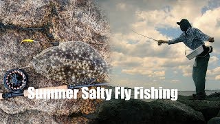 Summer Salty Fly Fishing  Sea Robins and Summer Flounder Fluke [upl. by Ecnaret]