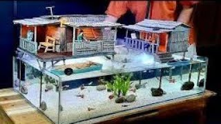 fish HOUSE make video amazing 💯💯💯💯💯 [upl. by Nisotawulo377]