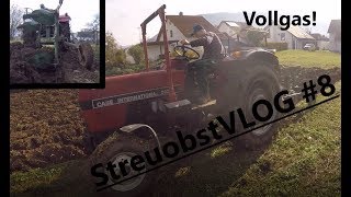 ACKERN  Pflügen  Case IH 533 StreuobstVLOG 8 [upl. by Bhatt438]