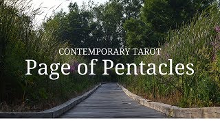 Page of Pentacles in 4 Minutes [upl. by Taber667]