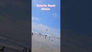 Chillin at Rosarito México Great beaches beautiful people fabulous food come visit soon 😊 [upl. by Reuven]