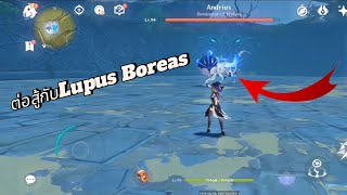 ต่อสู้กับบอส Lupus Boreas – Gameplay Genshin Impact [upl. by Nussbaum265]