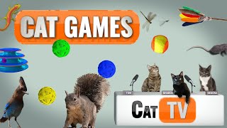 Cat Games  Ultimate Cat TV Compilation Vol 3  🐱 [upl. by Kat]