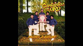 CANTARITOS DE ORO  VAMOS A BAILAR [upl. by Burhans]