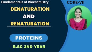 Denaturation And Renaturation of Protein BSc 2nd YearDenaturing AgentsAnfinsens Experiments [upl. by Lounge]