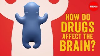 How do drugs affect the brain  Sara Garofalo [upl. by Marget]