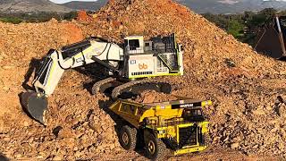 Liebherr RC 9800 excavator with Cat 793 Dump truck First Dig Mining [upl. by Ajroj]