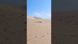 THE SAND DUNES OF MASPALOMAS GRAN CANARIA [upl. by Sloane]