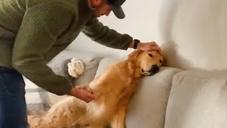 Videos De Risa De Animales 2023  10 Momentos Más Divertidos Entre Perros y Dueños del Año 😂 [upl. by Muraida]