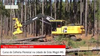 Curso Florestal em Grao Mogol  MG [upl. by Gnourt823]