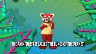 The Enviropals quotThe Rainforestquot Featuring Rae Rae the Red Panda [upl. by Eixid538]