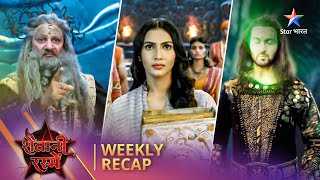 Weekly Recap  Shaitani Rasmein  Nikki ko mila Amrit [upl. by Nnaer]