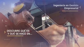 Ingeniería en Gestión Empresarial qué es y qué se hace [upl. by Ricky]