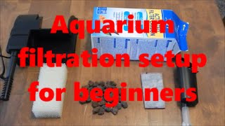 Aquarium filtration setup beginners guide [upl. by Christine]