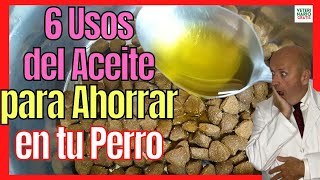 6 USOS DEL ACEITE DE OLIVA PARA PERROS 🫒 con SARNA OTITIS o ESTREÑIMIENTO [upl. by Holna478]