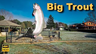 Australia Walking Tour  Big Trout Town in Rural New South Wales  4K HDR [upl. by Varipapa]