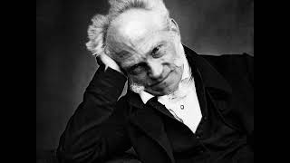 Schopenhauer On the Vanity amp Suffering of Life [upl. by Ferro]