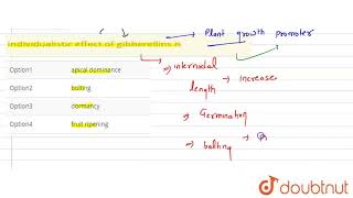 Individualistic effect of gibberellins is  CLASS 12  PLANT GROWTH AND DEVELOPMENT  BIOLOGY [upl. by Alvan]