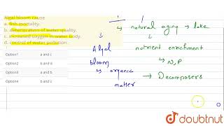Algal bloom cause a fish mortalityb deterioration of water qualityc increased oxygen in wat [upl. by Hultin376]