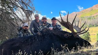 BACK COUNTRY MOOSE HUNT  UTAH 2022  ONCE IN A LIFETIME [upl. by Aniretake]