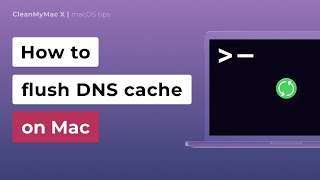 How to Flush DNS Cache on Mac [upl. by Scarito]