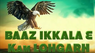 Eh BAAZ Ikkala Hai ਇਹ ਬਾਜ਼ ਇਕੱਲਾ ਹੈ ਇਸਦੇ ਮਗਰ ਨੇ ਬਹੁਤ ਸ਼ਿਕਾਰੀ   KAM LOHGARH amp Ladhubhanie [upl. by Eetsirk323]