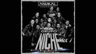 Niche Mix 1 Animal Dj wwwanimaldco [upl. by Jariah444]