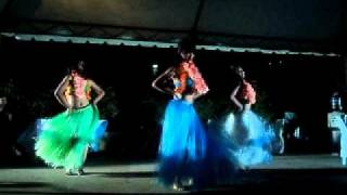 hawaiian fiveo by Project dance Guild [upl. by Arraet]