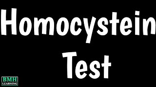 Homocystein Blood Test  Homocystein amp Vitamin b12 [upl. by Parette]