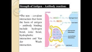 Microbiology of Antibody amp Antigen Interactions [upl. by Rayburn]