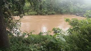 Dudhsagar Farm amp Villas Goa Where River Mountain amp Cloud is Calling [upl. by Kareem]