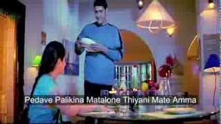 pedave palikina nani telugu movie song lyrics [upl. by Enyledam38]