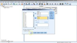 Kendalls tau b correlatiecoëfficiënt met SPSS [upl. by Dulce]